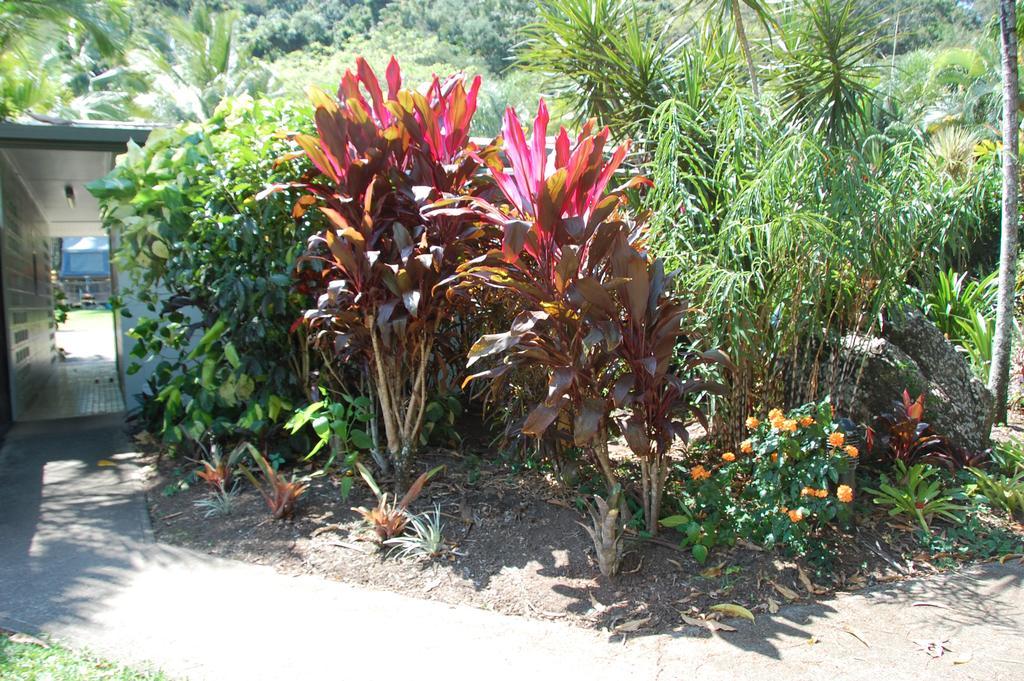 מלון Caravonica Lake Placid Tourist Park מראה חיצוני תמונה