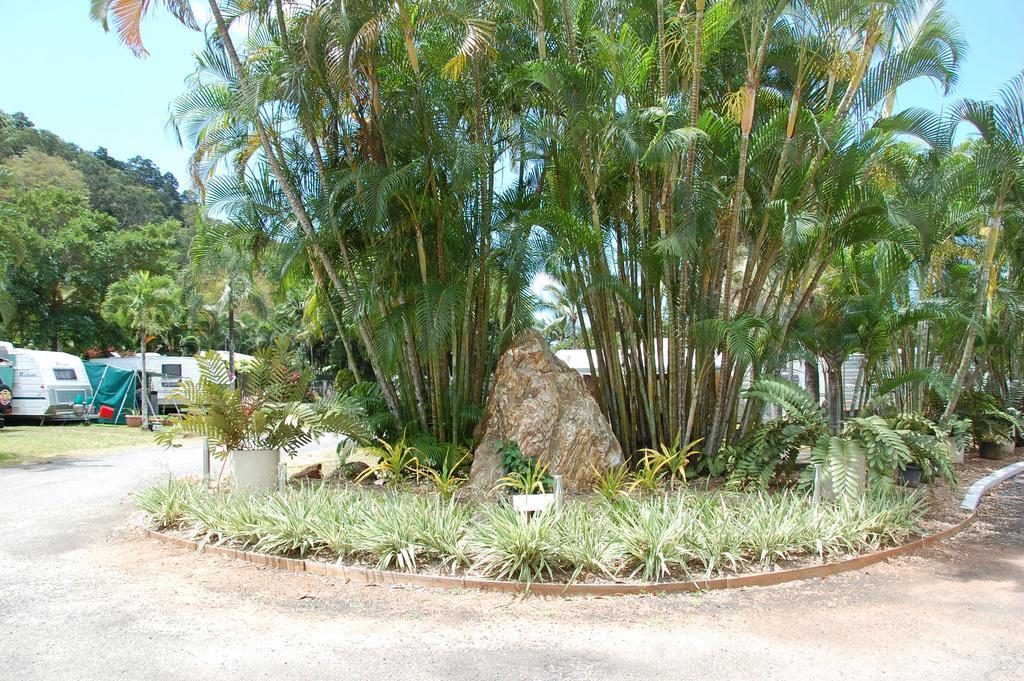 מלון Caravonica Lake Placid Tourist Park מראה חיצוני תמונה